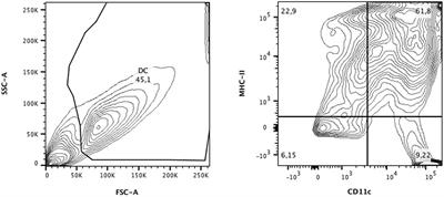 Dendritic Cells Primed with Paracoccidioides brasiliensis Peptide P10 Are Therapeutic in Immunosuppressed Mice with Paracoccidioidomycosis